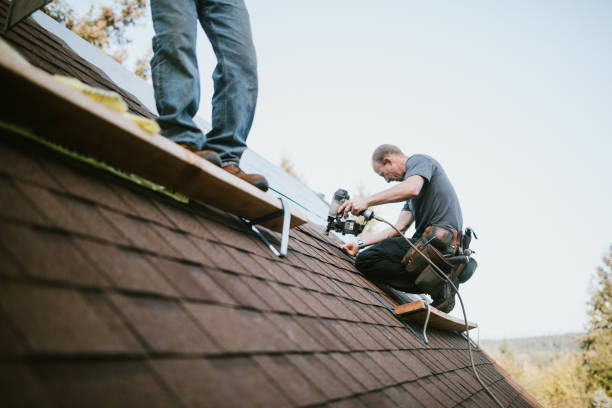 Quick and Trustworthy Emergency Roof Repair Services in Scottsbluff, NE
